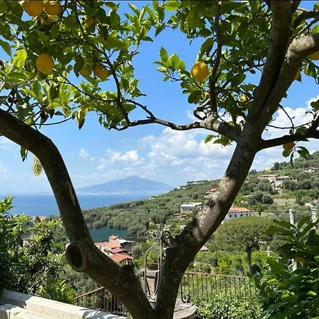 Vendégház Il Sorrentino 3*