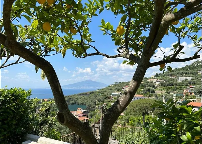 Πανσιόν Il Sorrentino 3*